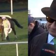 Rich Ricci gives brutally honest assessment of Leopardstown ‘disaster’