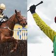 So many questions for Cheltenham after a confusing festive period of horse-racing