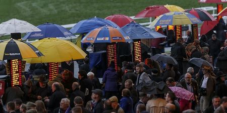 Arse-saver for Cheltenham punters already as Sky Bet serve up Non-Runner No Bet treat