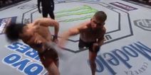 Jeremy Stephens absolutely levels Doo Ho Choi with ferocious knockout