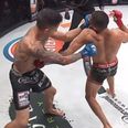 Aaron Pico demolishes vastly more experienced opponent with terrifying knockout