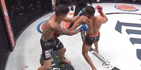 Aaron Pico demolishes vastly more experienced opponent with terrifying knockout