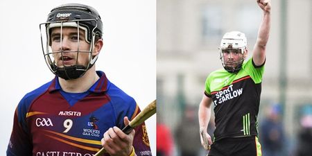 UL are red hot favourites but IT Carlow are worth a bet for Fitzgibbon Cup