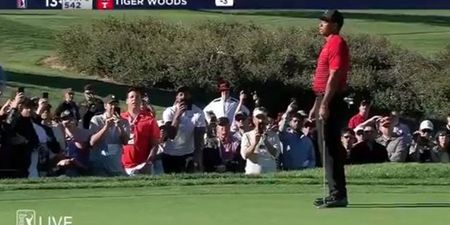 Obnoxious idiot screams to distract Tiger Woods during putt