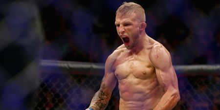 TJ Dillashaw’s reasons for turning down Cody Garbrandt rematch are impossible to argue with