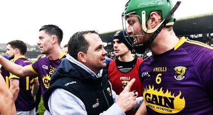 Davy Fitzgerald’s approach to drinking bans in Wexford is what every player wants