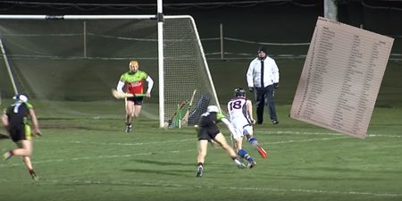 UL’s star power shines through in defence-blitzing Fitzgibbon Cup victory over IT Carlow