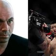 Joe Rogan wants action after UFC fighter receives bonus despite blatantly cheating