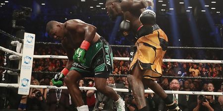 Deontay Wilder stakes claim for Anthony Joshua fight after knocking out Luis Ortiz