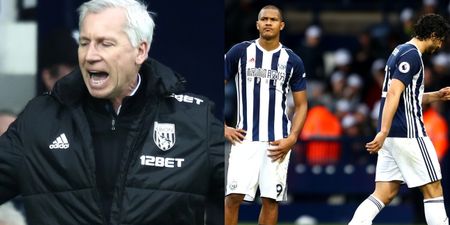 Alan Pardew launches extraordinary attack on his own players as West Brom manager faces sack
