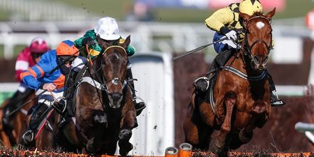 The 12/1 treble that could land you the big bucks in Cheltenham today