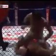 MMA ref Marc Goddard misses knockout and lets fighter pummel downed opponent