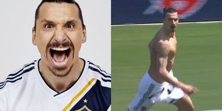 Yes, of course Zlatan Ibrahimovic scored a 40-yard volley on his LA Galaxy debut
