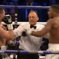 The referee annoyed everyone during Anthony Joshua’s victory over Joseph Parker