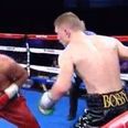 Jason Quigley sends chump to the shadow realm with brutal liver punch knockout