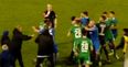 WATCH: Incredible scenes at the RSC as Waterford and Cork City players brawl during injury-time