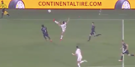 LA Galaxy fans losing it over Zlatan Ibrahimovic’s karate kick