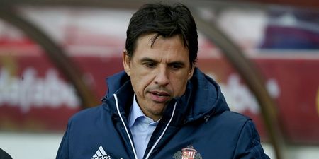 Chris Coleman sacked by Sunderland as they confirm change of ownership