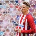 Fernando Torres could be in line for move to Newcastle