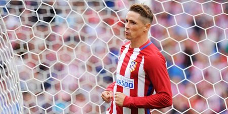 Fernando Torres could be in line for move to Newcastle