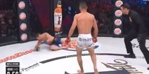 Aaron Pico steamrolls another vastly more experienced opponent like it was absolutely nothing