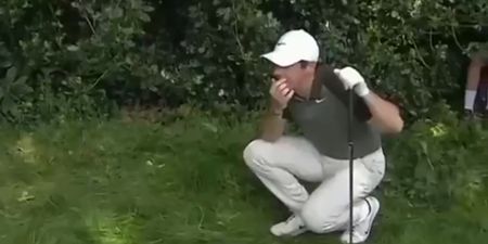 Rory McIlroy nails spectator with shot from the trees at PGA Championship