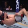 UFC fighter knocks himself out in absolutely spectacular fashion