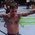 UFC lightweights would be fools to ignore undefeated star Gregor Gillespie’s rise