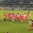 All hell breaks loose during Tyrone and Armagh brawl