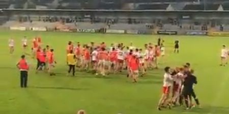 All hell breaks loose during Tyrone and Armagh brawl