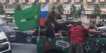 Bear plays vuvuzela in traffic as World Cup gets underway