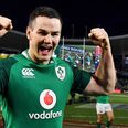 Leading rugby writer backs Ireland as World Cup favourites