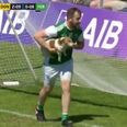 Everyone fell in love with the wee pitch invader during Ulster final