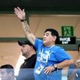 It looks like Diego Maradona enjoyed Argentina’s winner against Nigeria