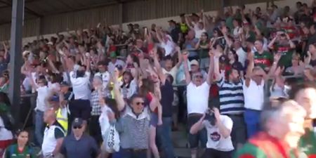 The euphoric reaction in the stands to Kildare’s win over Mayo in Newbridge