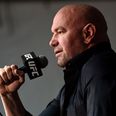 Dana White tries to humiliate Brendan Schaub with remarkably insulting rant