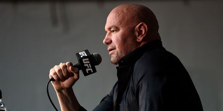 Dana White tries to humiliate Brendan Schaub with remarkably insulting rant