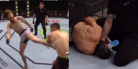 UFC fighter absolutely demolishes opponent in return from gruesome testicle injury