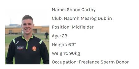 Never has a Gaelic football team had a better set of ‘occupations’
