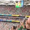 Fan footage shows Limerick fans erupt after Shane Dowling goal