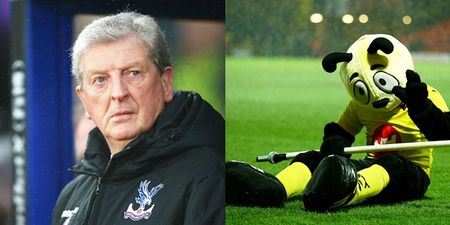 Roy Hodgson lets all his anger out…on Watford’s mascot