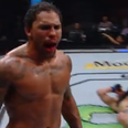 Spectacular UFC knockout came remarkably close to being a disqualification