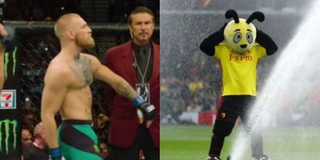 Watford mascot imitates Conor McGregor to wind up Crystal Palace fans