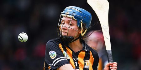 Every camóg and hurler will relate to Kilkenny star on breaking windows at home