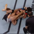 UFC fighter submits opponent with an absolutely ridiculous kneebar