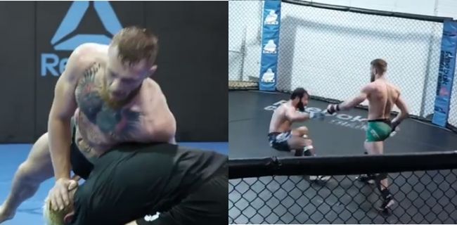 Conor McGregor training