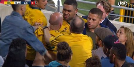 Wallabies flanker gets into scrape with fan following Argentina defeat