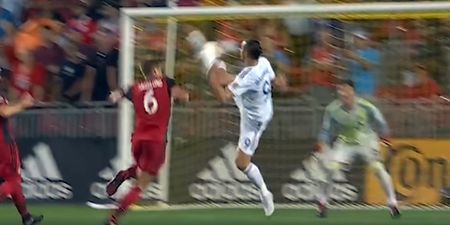 Zlatan Ibrahimovic scores with roundhouse kick to bring up 500th career goal