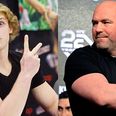 Dana White’s comments about Logan Paul are absolutely gas