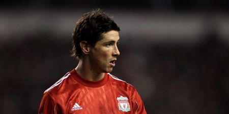 Liverpool players were ‘astonished’ that Chelsea paid a record fee for Fernando Torres
